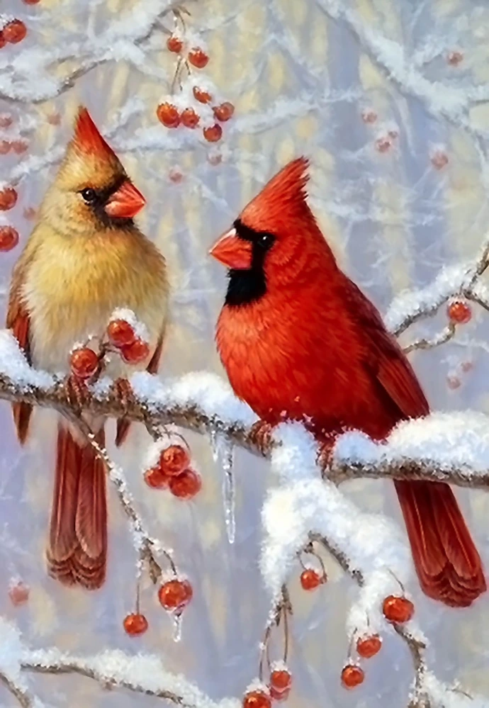 two cardinals in winter