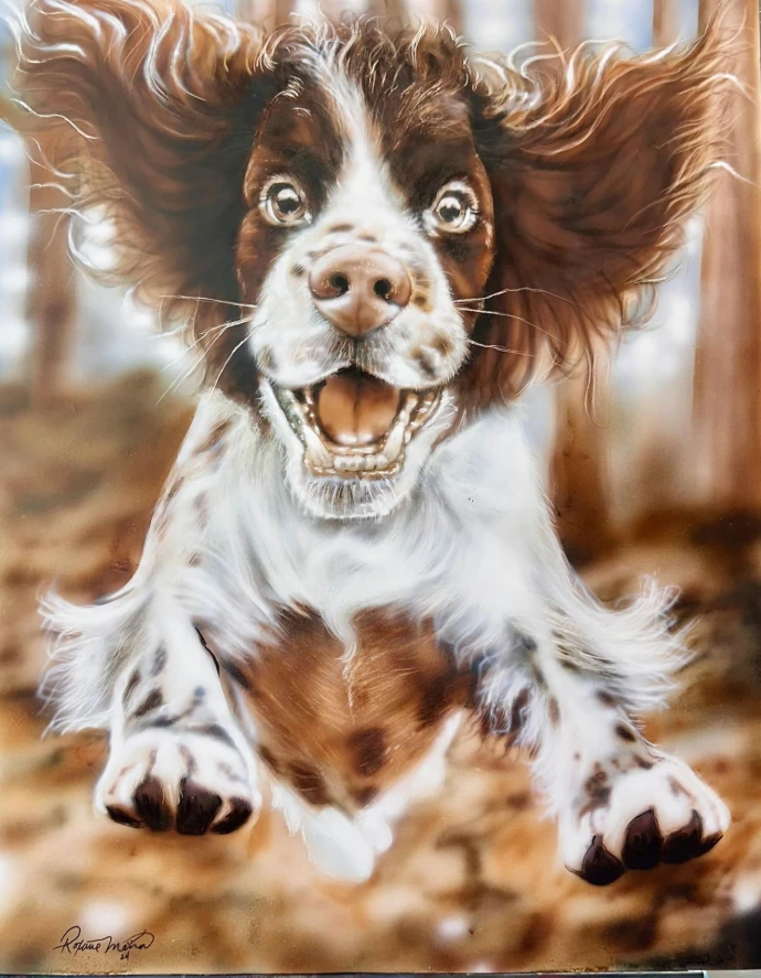 springer dog jumping in air